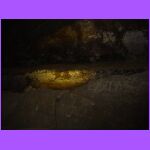 Cave Writing From 1800s.jpg